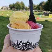 Löööv Glace Löööv Glace