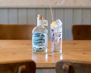 Rheinbrand 2017 Ufer 7 1091