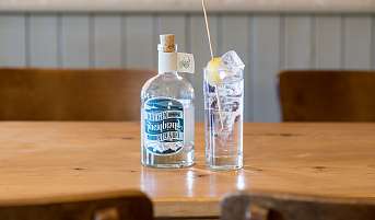 Rheinbrand 2017 Ufer 7 1091