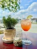 B7-Spritz image00001